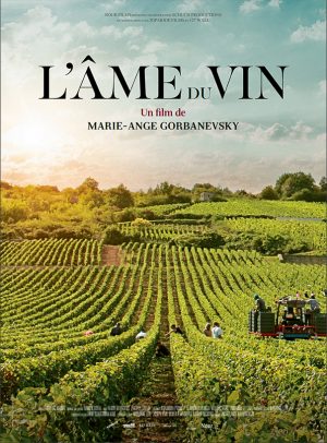 Film cinéma DVD VOD L'âme du vin