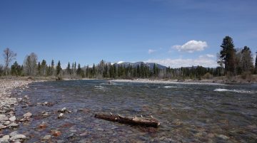 Blackfoot River