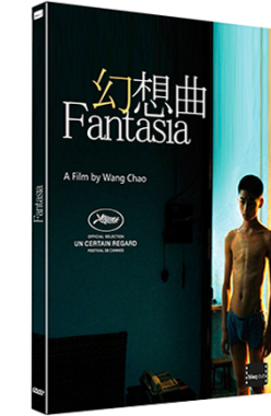Fantasia DVD