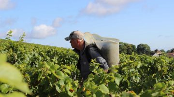 L'Ame Du Vin Photo 4