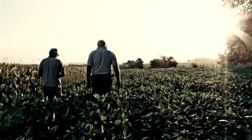 Le Grain Et L'ivraie 1