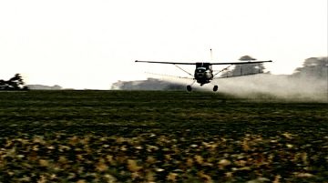 Le Grain Et L'ivraie 4
