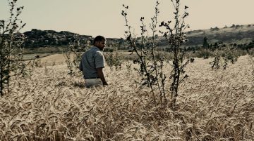 Le Grain Et L'ivraie 7