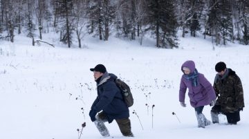 Still2